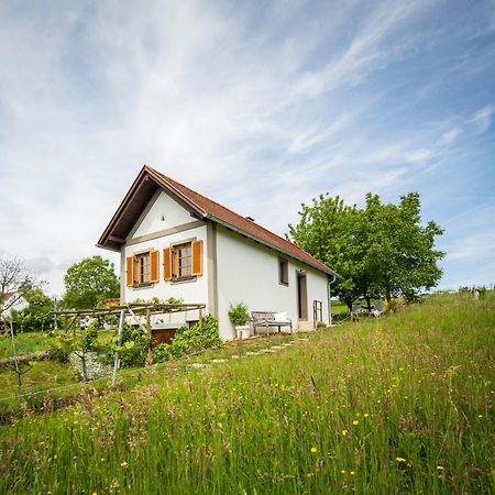 Weinlofts Weinloft I Villa Edlitz im Burgenland Exterior photo