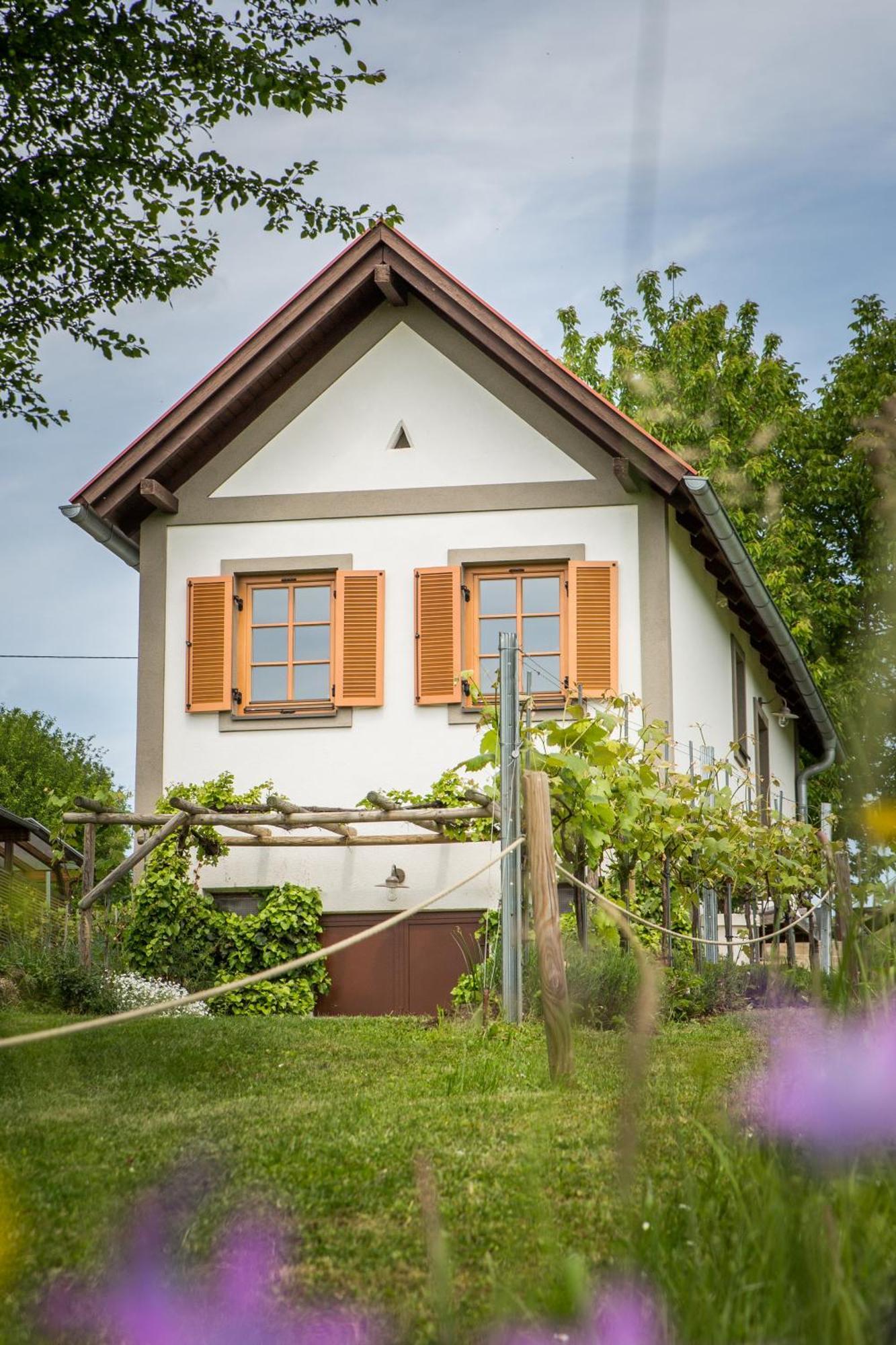 Weinlofts Weinloft I Villa Edlitz im Burgenland Exterior photo