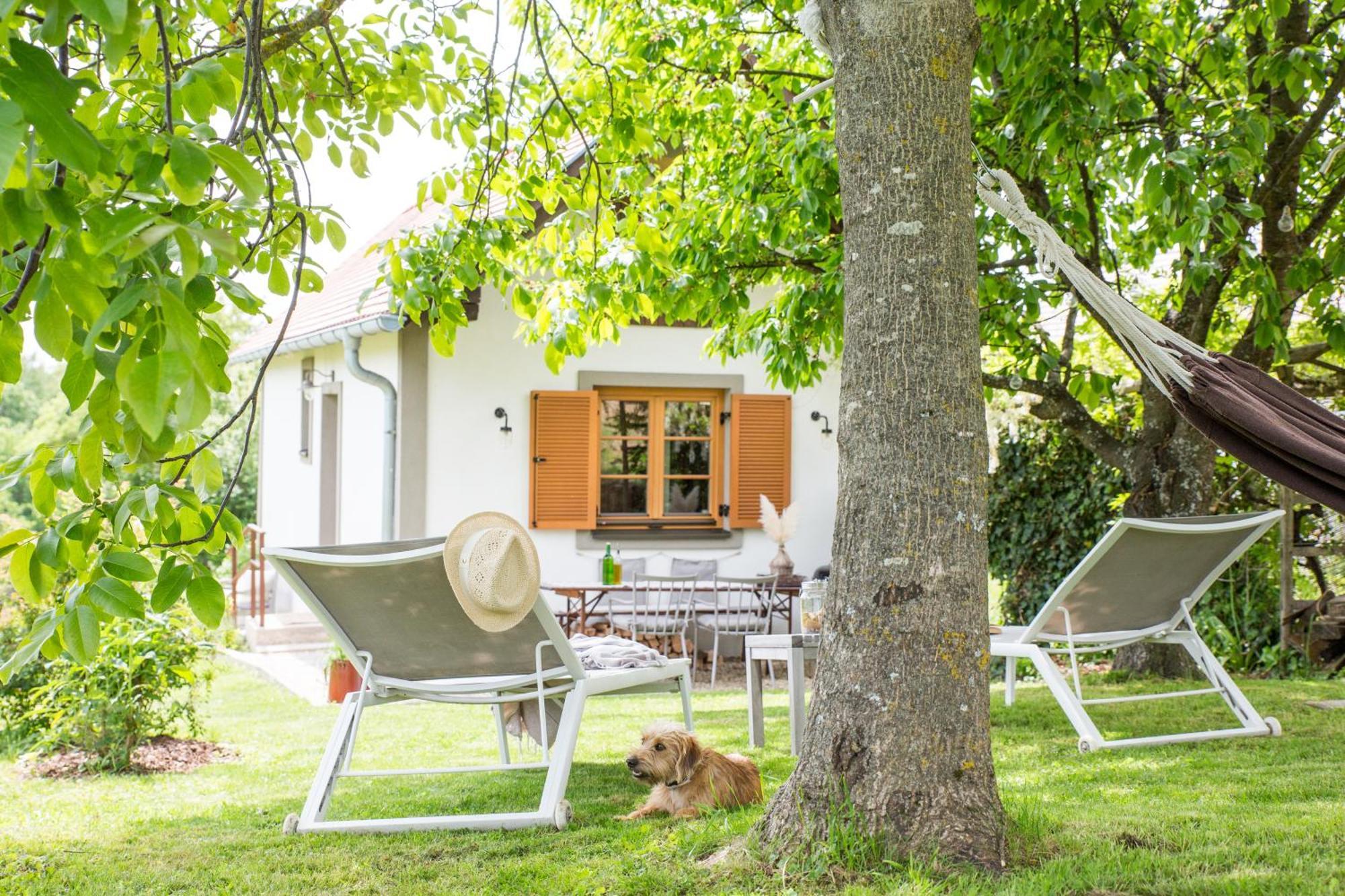 Weinlofts Weinloft I Villa Edlitz im Burgenland Exterior photo