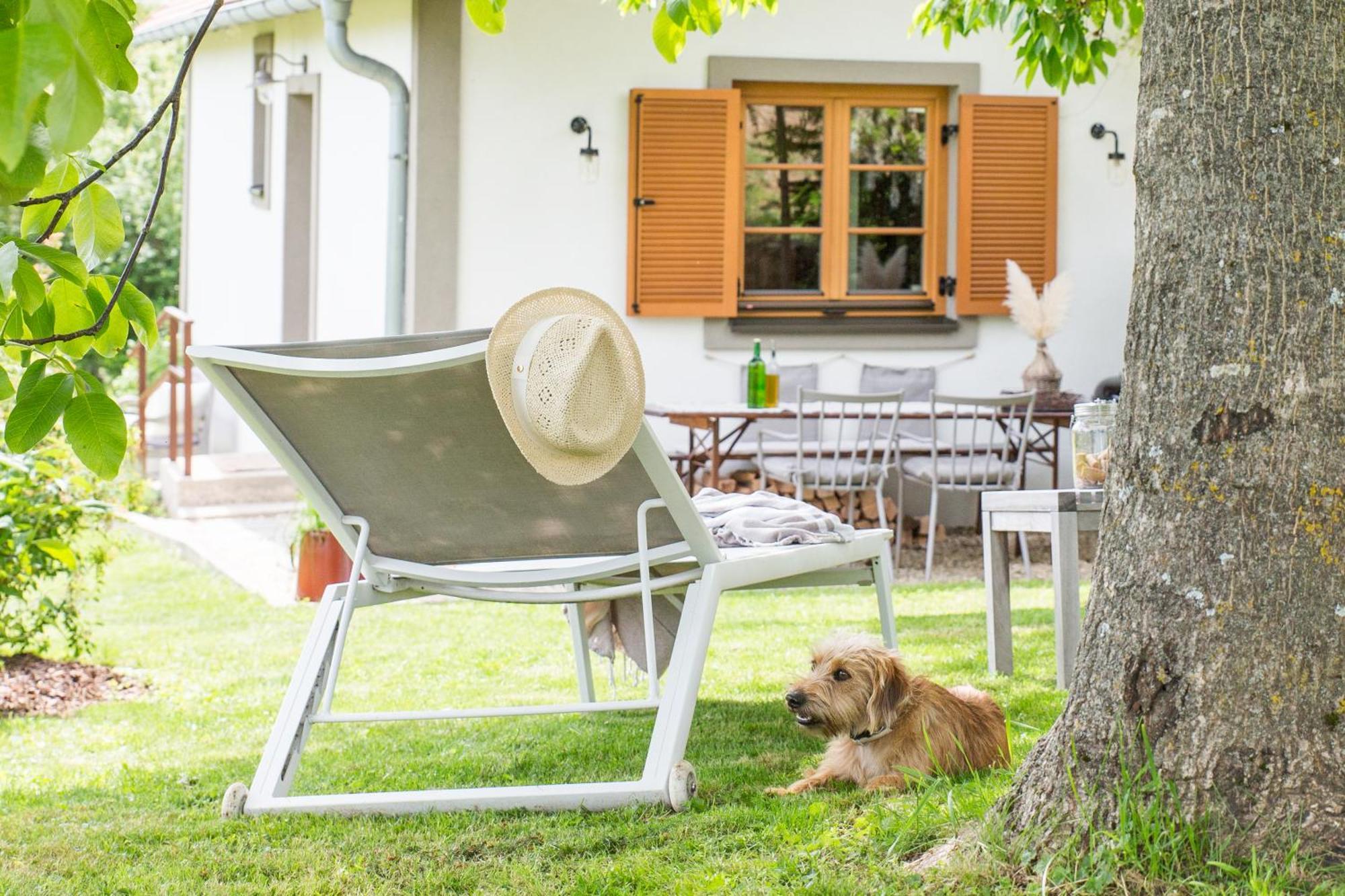 Weinlofts Weinloft I Villa Edlitz im Burgenland Exterior photo